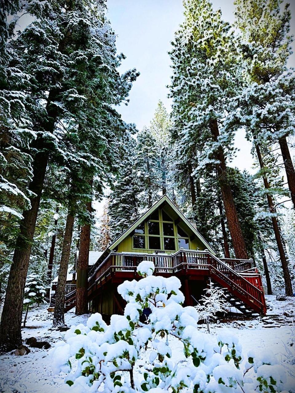 The Honey Bear Cabin Carnelian Bay Екстериор снимка